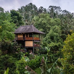 Jungle sleeping at Bali Eco Stay
