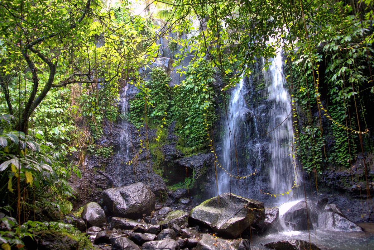 Bali Eco Stay Waterfall