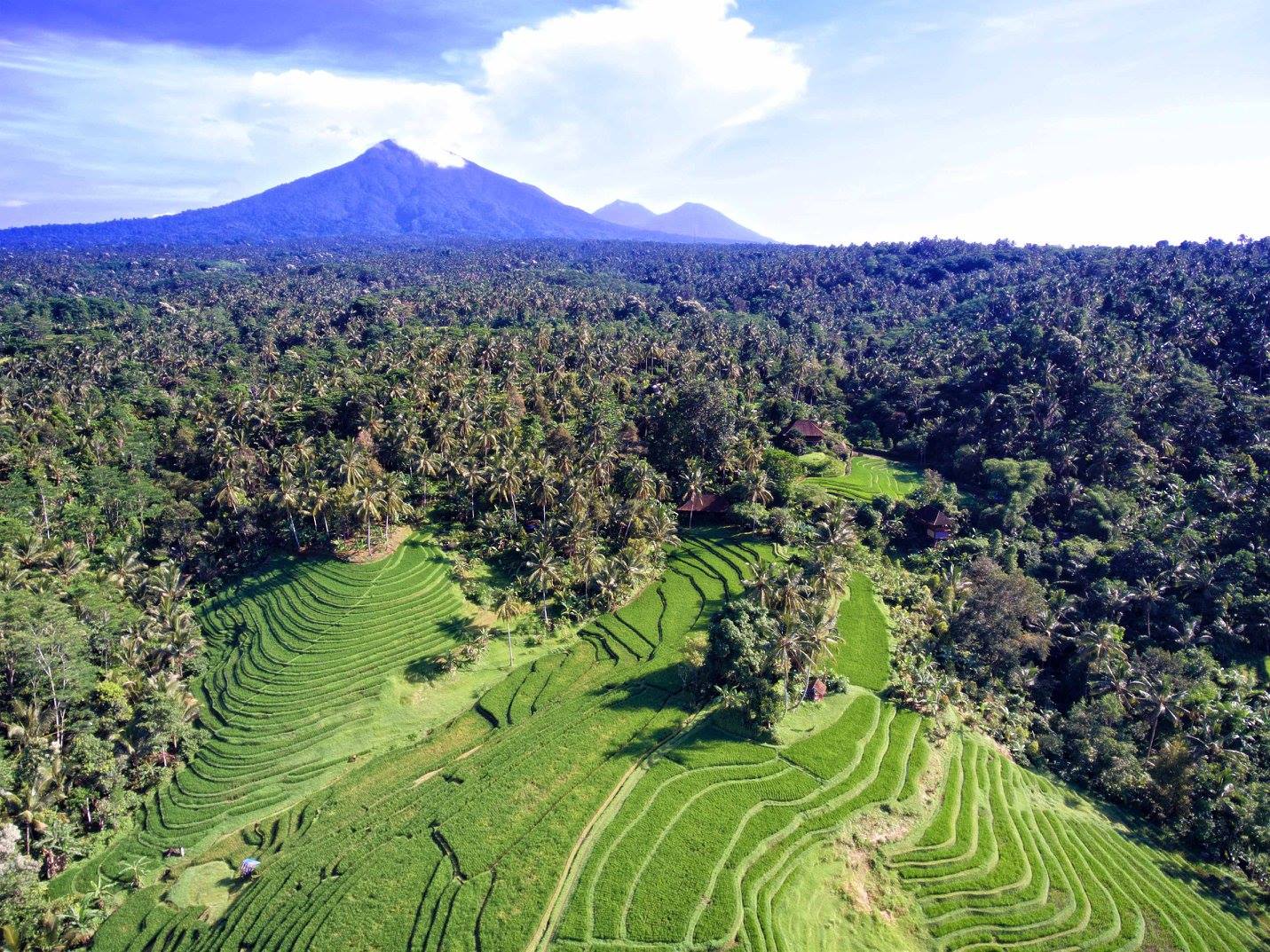 Bali Eco Stay from the air
