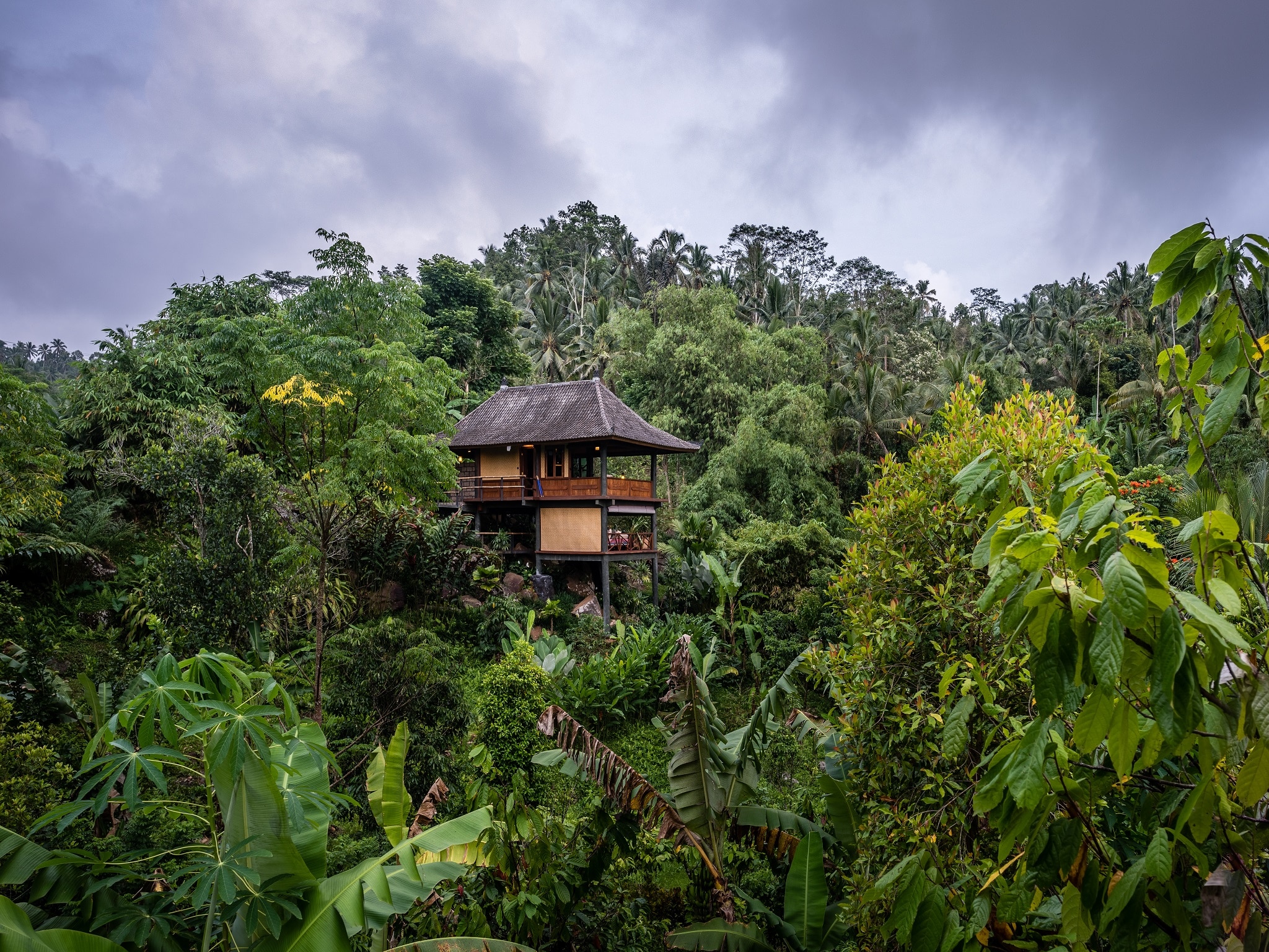 Jungle to rice paddies Bali Eco Stay Nurtured by Nature 