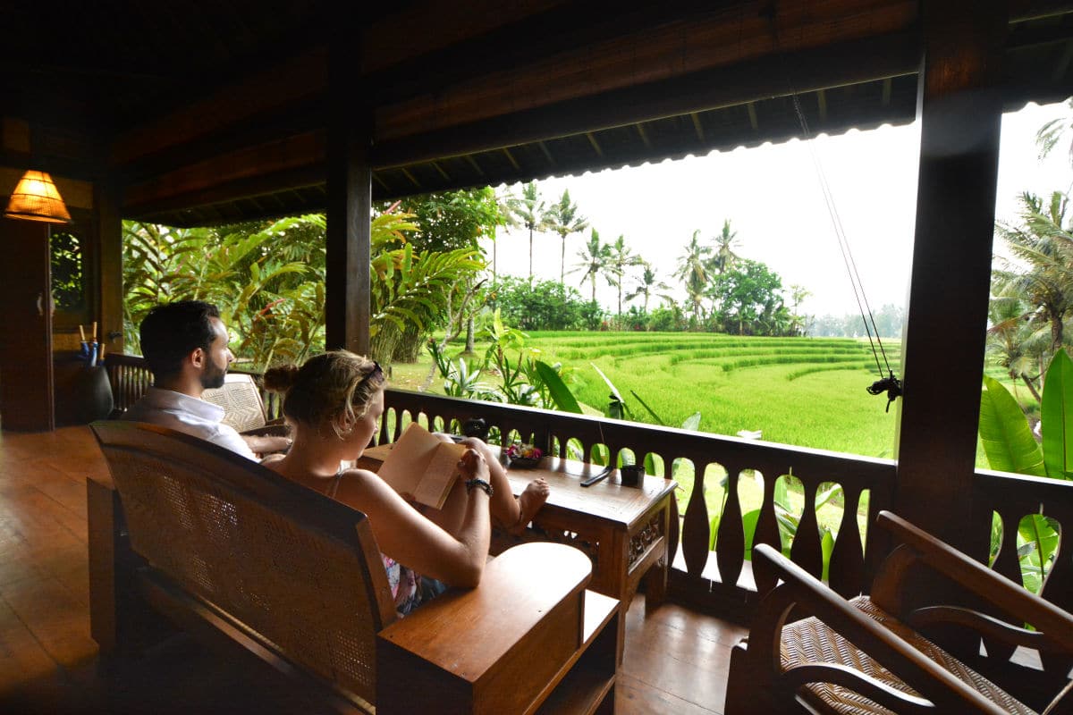 Harvest Eco Bungalow - view across the padi