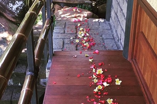 Romance package - flower petals