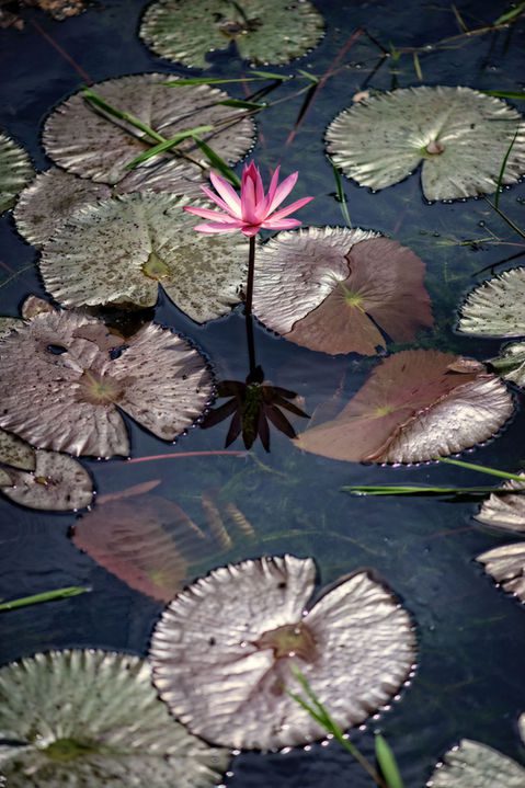 2b5b2c_67db44374d264bb887ff53eb62e4b27c~mv2