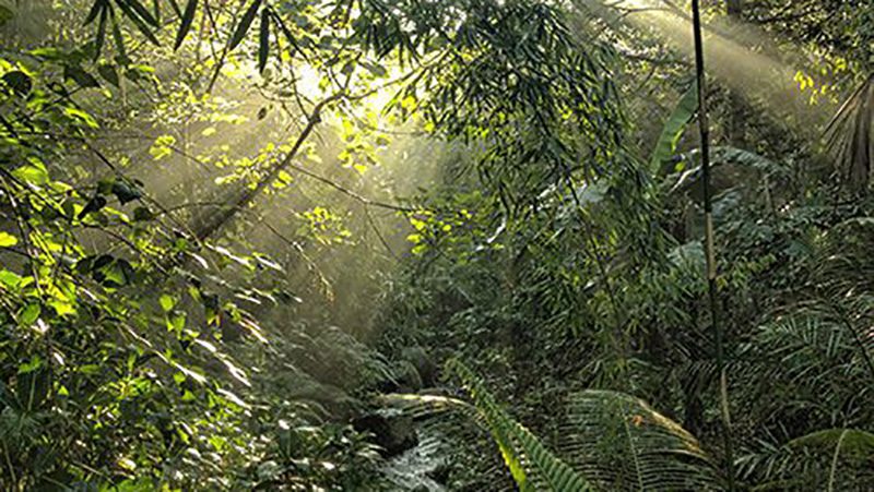 Bali Women’s Retreat May 5 to 10, 2026